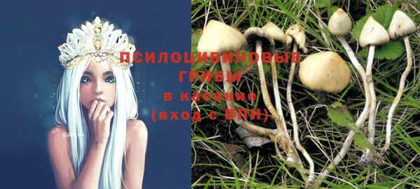apvp Карталы