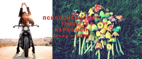 apvp Карталы