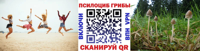 Галлюциногенные грибы мицелий  Купить закладки  Горняк 